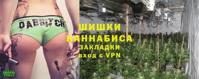 блэк спрут   Соликамск  Бошки Шишки SATIVA & INDICA 